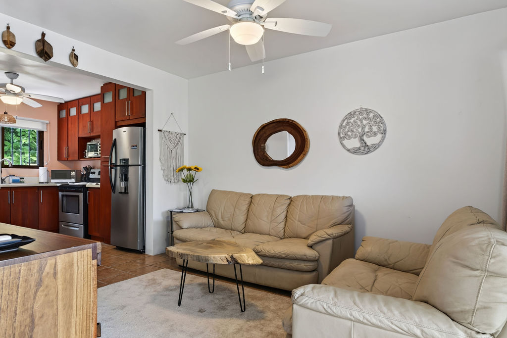 Open living and kitchen space