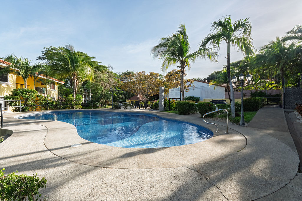 Pool walkway under the palms in the morning